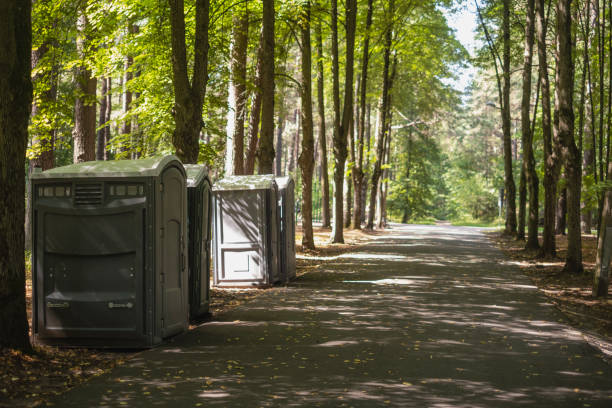 Best Porta potty rental near me  in Cedar Ridge, CA